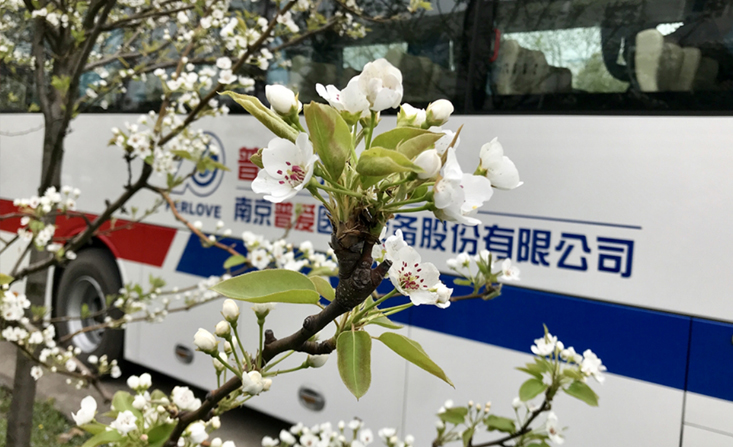 首页- 平博（Pinnacle）中国公司官网